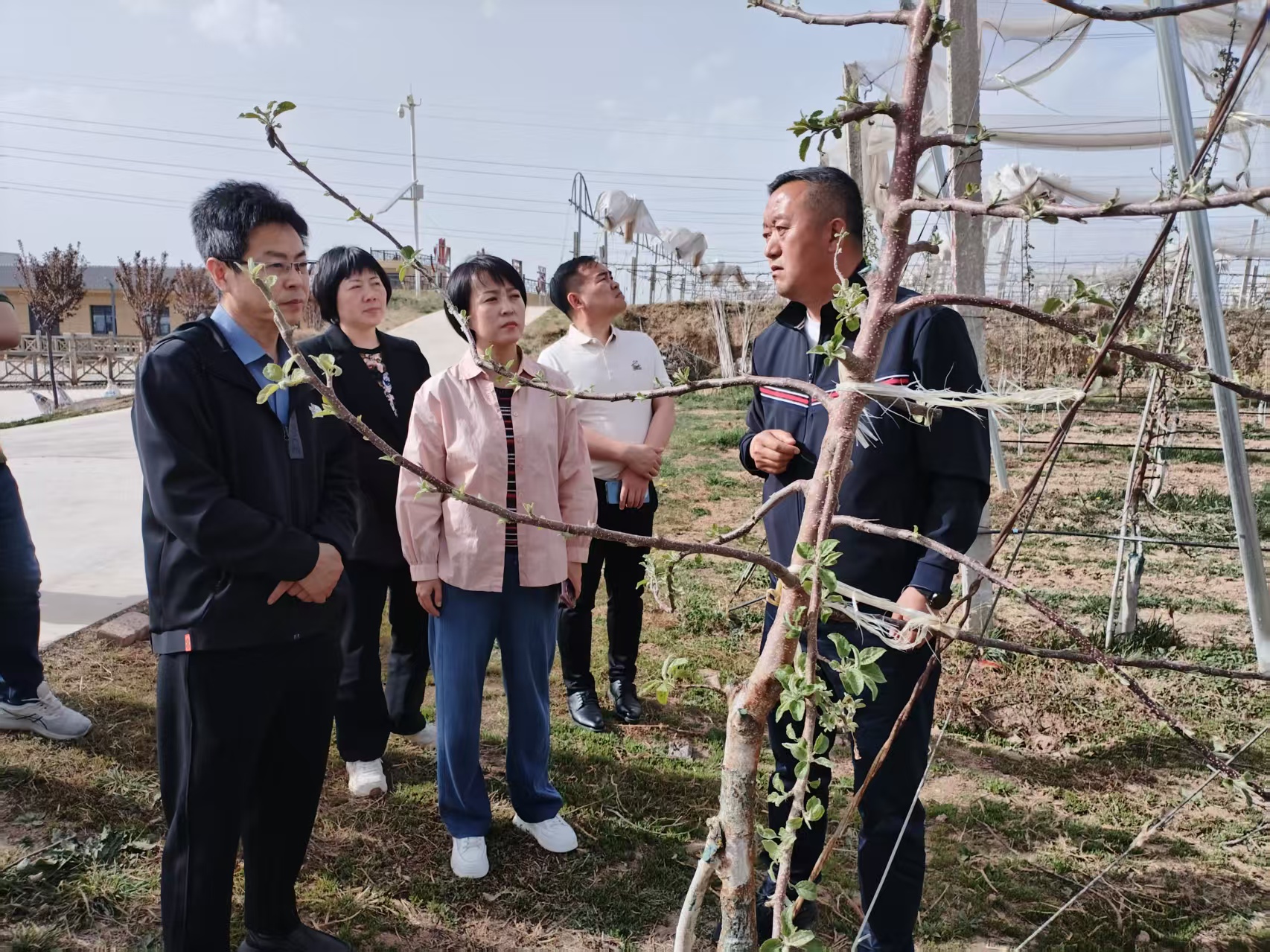 2025年4月16日銅川市供銷(xiāo)合作社王婧副主任與”鮮豐匯“、華東農(nóng)產(chǎn)品交易中